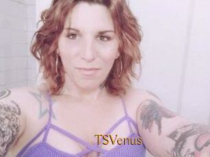 TS_Venus