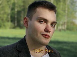 TeddyRios