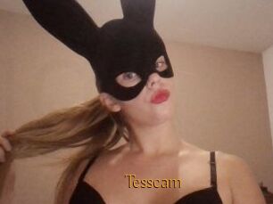 Tesscam