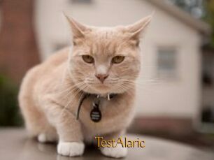 TestAlaric