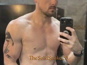 TheSolidSnake23