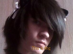 This_is_dog