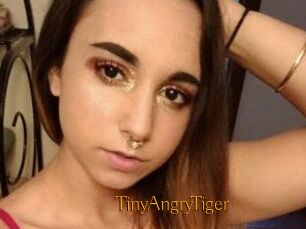 TinyAngryTiger