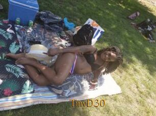 TinyD30