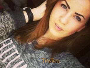 TinyTess