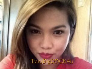 TransBigCOCK4u