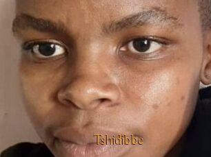 Tshidibbe