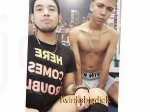 Twinksbigdick