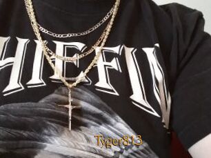 Tyger813