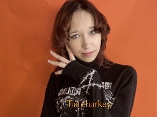 Taiteharkey