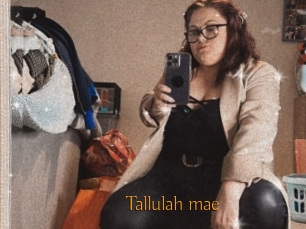 Tallulah_mae