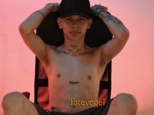 Tatevogel