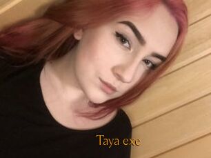 Taya_exe