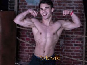 Taylerwild