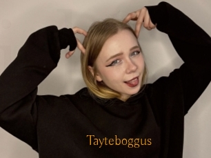 Tayteboggus