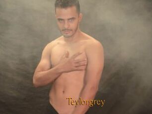 Teylorgrey