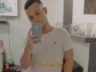 The_bad_boys_1