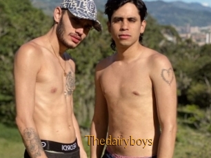 Thedairyboys