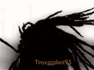 Tinyeggplant93
