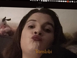 Transbibi