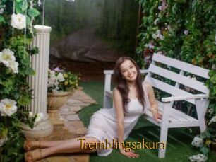 Tremblingsakura