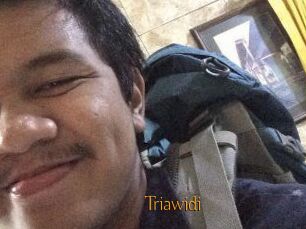 Triawidi