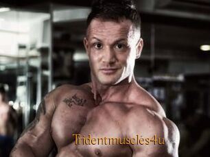 Tridentmuscles4u