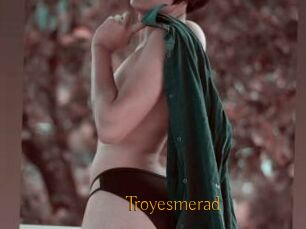 Troyesmerad