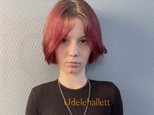 Udelehallett
