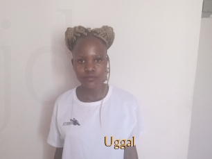Uggal