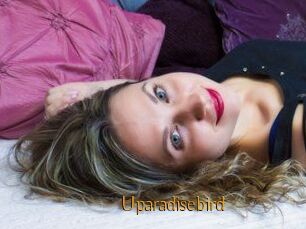 Uparadisebird