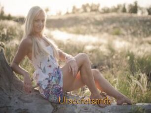 Ursecretsandy