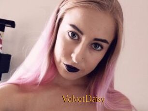 VelvetDaisy