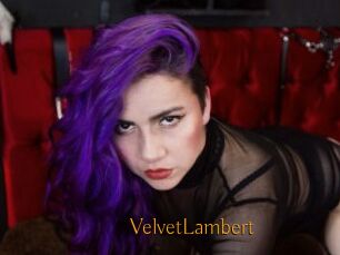 VelvetLambert