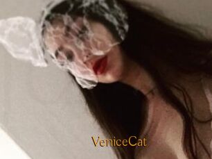 VeniceCat