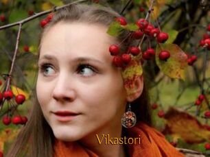 Vikastori