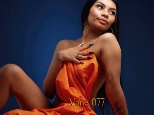 Vane_077