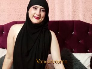 Vanezacosmo