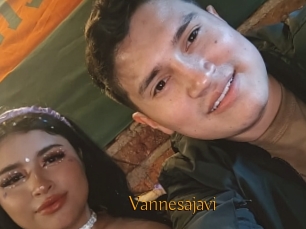 Vannesajavi
