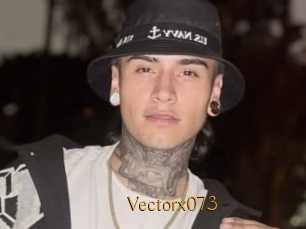 Vectorx073