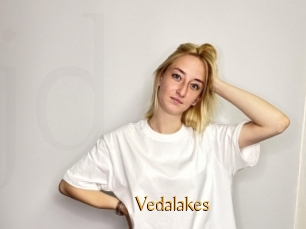 Vedalakes