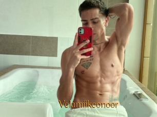 Velamiikconoor