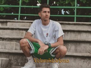 Velamikbarbosa