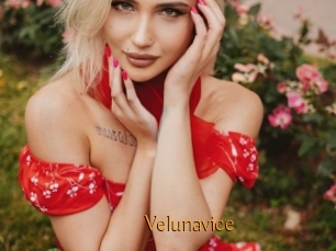 Velunavice