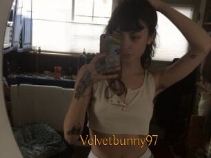 Velvetbunny97