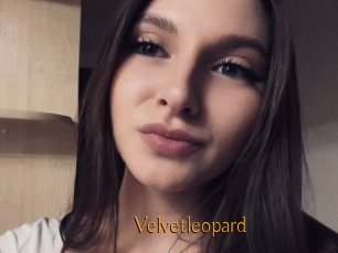 Velvetleopard