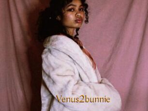 Venus2bunnie