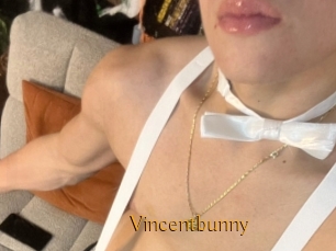 Vincentbunny