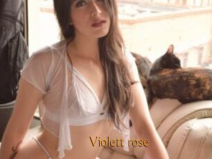 Violett_rose