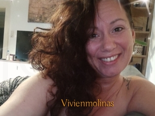 Vivienmolinas